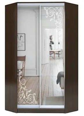 Шкаф-купе ХИТ-У-R-22-64-66 ОРНАМЕНТ в Краснокамске - krasnokamsk.mebel24.online | фото
