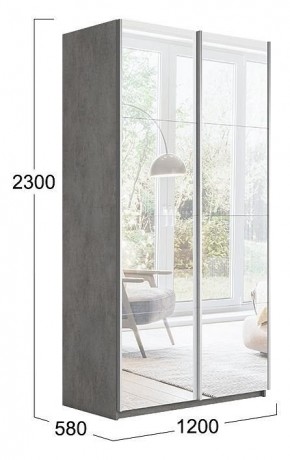 Шкаф-купе Траст СШК 2.120.60-13.13 в Краснокамске - krasnokamsk.mebel24.online | фото 3
