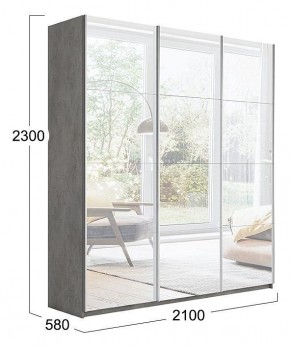 Шкаф-купе Траст СШК 2.210.70-13.13.13 в Краснокамске - krasnokamsk.mebel24.online | фото 3