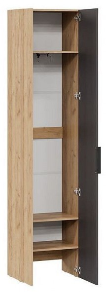 Шкаф платяной Асти в Краснокамске - krasnokamsk.mebel24.online | фото 2