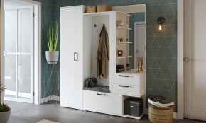 Шкаф платяной Эрика в Краснокамске - krasnokamsk.mebel24.online | фото 3