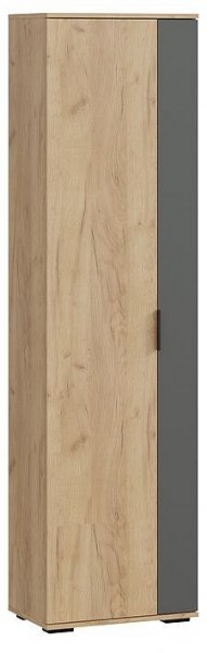 Шкаф платяной Эвита в Краснокамске - krasnokamsk.mebel24.online | фото