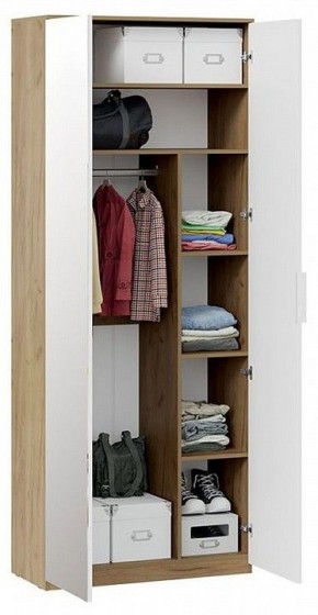 Шкаф платяной Хилтон Исп. 2.1 в Краснокамске - krasnokamsk.mebel24.online | фото 4