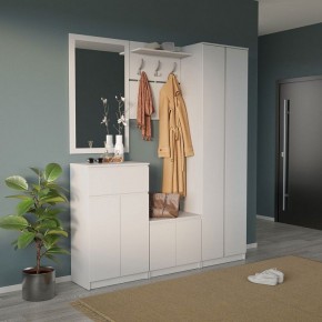 Шкаф платяной ШО-4 в Краснокамске - krasnokamsk.mebel24.online | фото 6