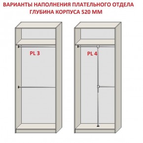 Шкаф распашной серия «ЗЕВС» (PL3/С1/PL2) в Краснокамске - krasnokamsk.mebel24.online | фото 10