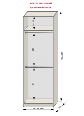 Шкаф распашной серия «ЗЕВС» (PL3/С1/PL2) в Краснокамске - krasnokamsk.mebel24.online | фото 12