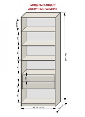 Шкаф распашной серия «ЗЕВС» (PL3/С1/PL2) в Краснокамске - krasnokamsk.mebel24.online | фото 13