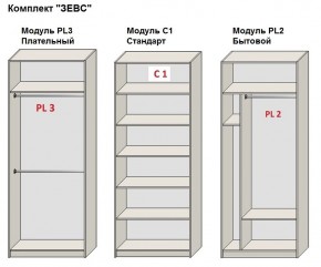 Шкаф распашной серия «ЗЕВС» (PL3/С1/PL2) в Краснокамске - krasnokamsk.mebel24.online | фото 2