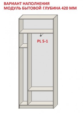 Шкаф распашной серия «ЗЕВС» (PL3/С1/PL2) в Краснокамске - krasnokamsk.mebel24.online | фото 4