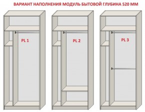 Шкаф распашной серия «ЗЕВС» (PL3/С1/PL2) в Краснокамске - krasnokamsk.mebel24.online | фото 5