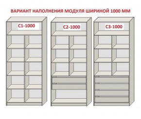 Шкаф распашной серия «ЗЕВС» (PL3/С1/PL2) в Краснокамске - krasnokamsk.mebel24.online | фото 7