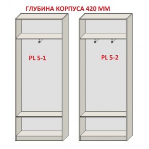 Шкаф распашной серия «ЗЕВС» (PL3/С1/PL2) в Краснокамске - krasnokamsk.mebel24.online | фото 8