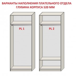 Шкаф распашной серия «ЗЕВС» (PL3/С1/PL2) в Краснокамске - krasnokamsk.mebel24.online | фото 9