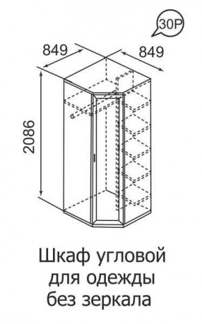 Шкаф угловой для одежды Ника-Люкс 30 без зеркал в Краснокамске - krasnokamsk.mebel24.online | фото 3