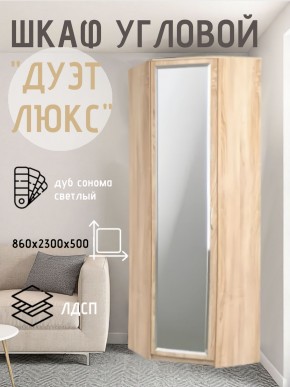Шкаф угловой Дуэт Люкс с зеркалом в Краснокамске - krasnokamsk.mebel24.online | фото