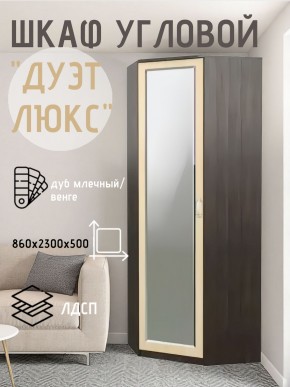 Шкаф угловой Дуэт Люкс с зеркалом в Краснокамске - krasnokamsk.mebel24.online | фото 5