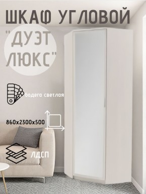 Шкаф угловой Дуэт Люкс с зеркалом в Краснокамске - krasnokamsk.mebel24.online | фото 6