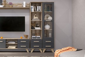 Шкаф-витрина 450 Вега Скандинавия в Краснокамске - krasnokamsk.mebel24.online | фото 3