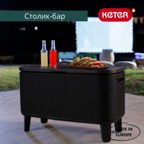 Стол Беви Бар (Bevy Bar Large Cool Bar), графит в Краснокамске - krasnokamsk.mebel24.online | фото 4