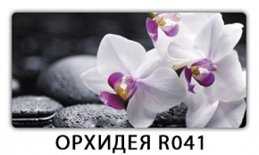 Стол раздвижной Бриз лайм R156 K-6 в Краснокамске - krasnokamsk.mebel24.online | фото 18