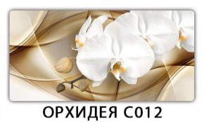 Стол раздвижной Трилогия с фотопечатью Лайм R156 в Краснокамске - krasnokamsk.mebel24.online | фото 13