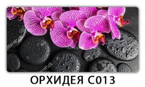 Стол раздвижной Трилогия с фотопечатью Лайм R156 в Краснокамске - krasnokamsk.mebel24.online | фото 14