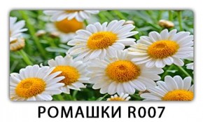 Стол раздвижной Трилогия с фотопечатью Лайм R156 в Краснокамске - krasnokamsk.mebel24.online | фото 15