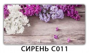 Стол раздвижной Трилогия с фотопечатью Лайм R156 в Краснокамске - krasnokamsk.mebel24.online | фото 16