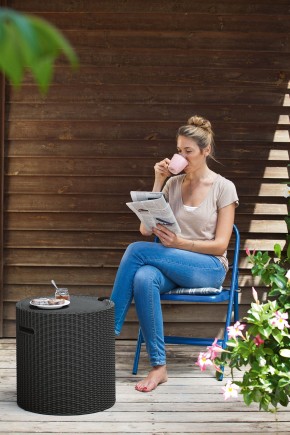 Столик-холодильник Кул-Стул (Cool stool) коричневый в Краснокамске - krasnokamsk.mebel24.online | фото 2