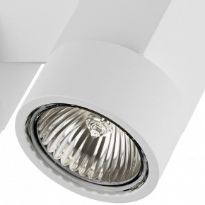 Светильник на штанге Lightstar Illumo X2 051036 в Краснокамске - krasnokamsk.mebel24.online | фото 2