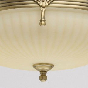 Светильник на штанге MW-Light Афродита 1 317011504 в Краснокамске - krasnokamsk.mebel24.online | фото 4
