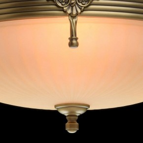 Светильник на штанге MW-Light Афродита 1 317011504 в Краснокамске - krasnokamsk.mebel24.online | фото 5