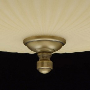 Светильник на штанге MW-Light Афродита 1 317011504 в Краснокамске - krasnokamsk.mebel24.online | фото 9