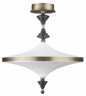 Светильник на штанге Odeon Light Ula 5404/43CL в Краснокамске - krasnokamsk.mebel24.online | фото