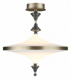 Светильник на штанге Odeon Light Ula 5404/43CL в Краснокамске - krasnokamsk.mebel24.online | фото 2