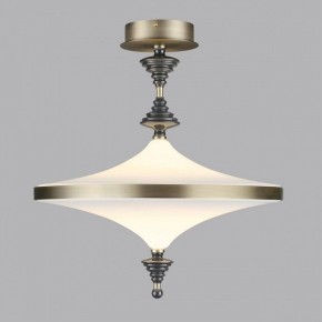 Светильник на штанге Odeon Light Ula 5404/43CL в Краснокамске - krasnokamsk.mebel24.online | фото 3