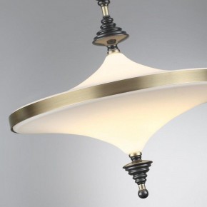 Светильник на штанге Odeon Light Ula 5404/43CL в Краснокамске - krasnokamsk.mebel24.online | фото 6