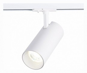 Светильник на штанге ST-Luce Mono ST350.536.30.36 в Краснокамске - krasnokamsk.mebel24.online | фото 2
