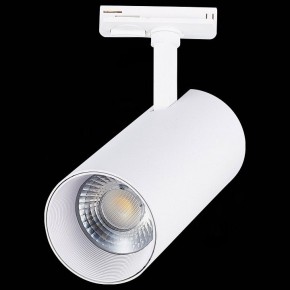 Светильник на штанге ST-Luce Mono ST350.536.30.36 в Краснокамске - krasnokamsk.mebel24.online | фото 6