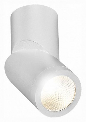 Светильник на штанге ST-Luce ST650 ST650.542.10 в Краснокамске - krasnokamsk.mebel24.online | фото 3