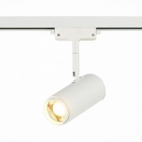 Светильник на штанге ST-Luce Zoom ST600.536.12 в Краснокамске - krasnokamsk.mebel24.online | фото 2