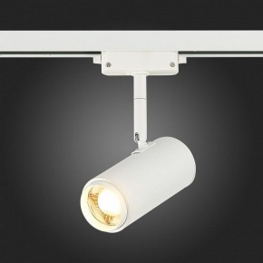 Светильник на штанге ST-Luce Zoom ST600.536.12 в Краснокамске - krasnokamsk.mebel24.online | фото 7