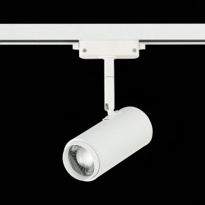 Светильник на штанге ST-Luce Zoom ST600.546.12 в Краснокамске - krasnokamsk.mebel24.online | фото 5