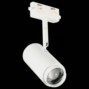 Светильник на штанге ST-Luce Zoom ST600.546.12 в Краснокамске - krasnokamsk.mebel24.online | фото 6