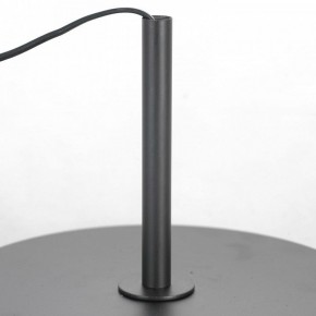 Торшер Lussole  LSP-0590 в Краснокамске - krasnokamsk.mebel24.online | фото 3