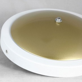 Торшер Lussole LSP-062 LSP-0625 в Краснокамске - krasnokamsk.mebel24.online | фото 2