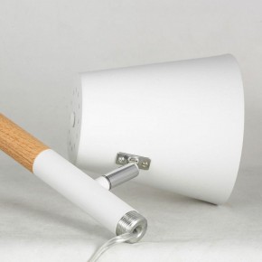 Торшер Lussole Buckeye LSP-0628 в Краснокамске - krasnokamsk.mebel24.online | фото 4