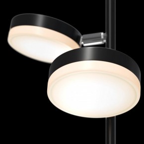 Торшер Maytoni Fad MOD070FL-L12B3K в Краснокамске - krasnokamsk.mebel24.online | фото