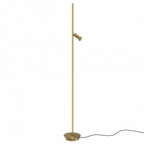 Торшер Maytoni Thin MOD395FL-L28BS3K в Краснокамске - krasnokamsk.mebel24.online | фото