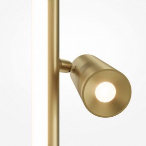 Торшер Maytoni Thin MOD395FL-L28BS3K в Краснокамске - krasnokamsk.mebel24.online | фото 5
